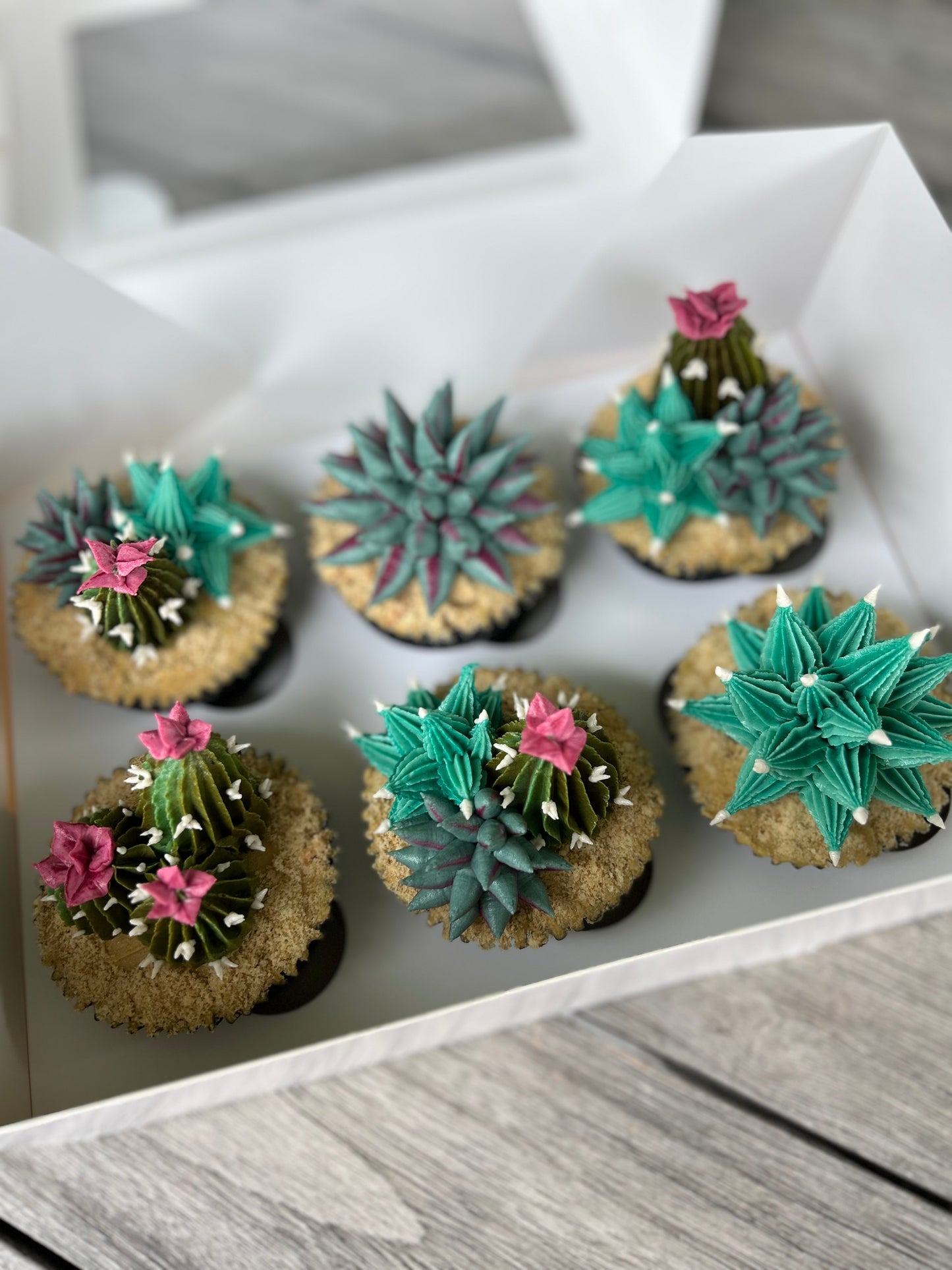 Cactus and succulent buttercream cupcakes