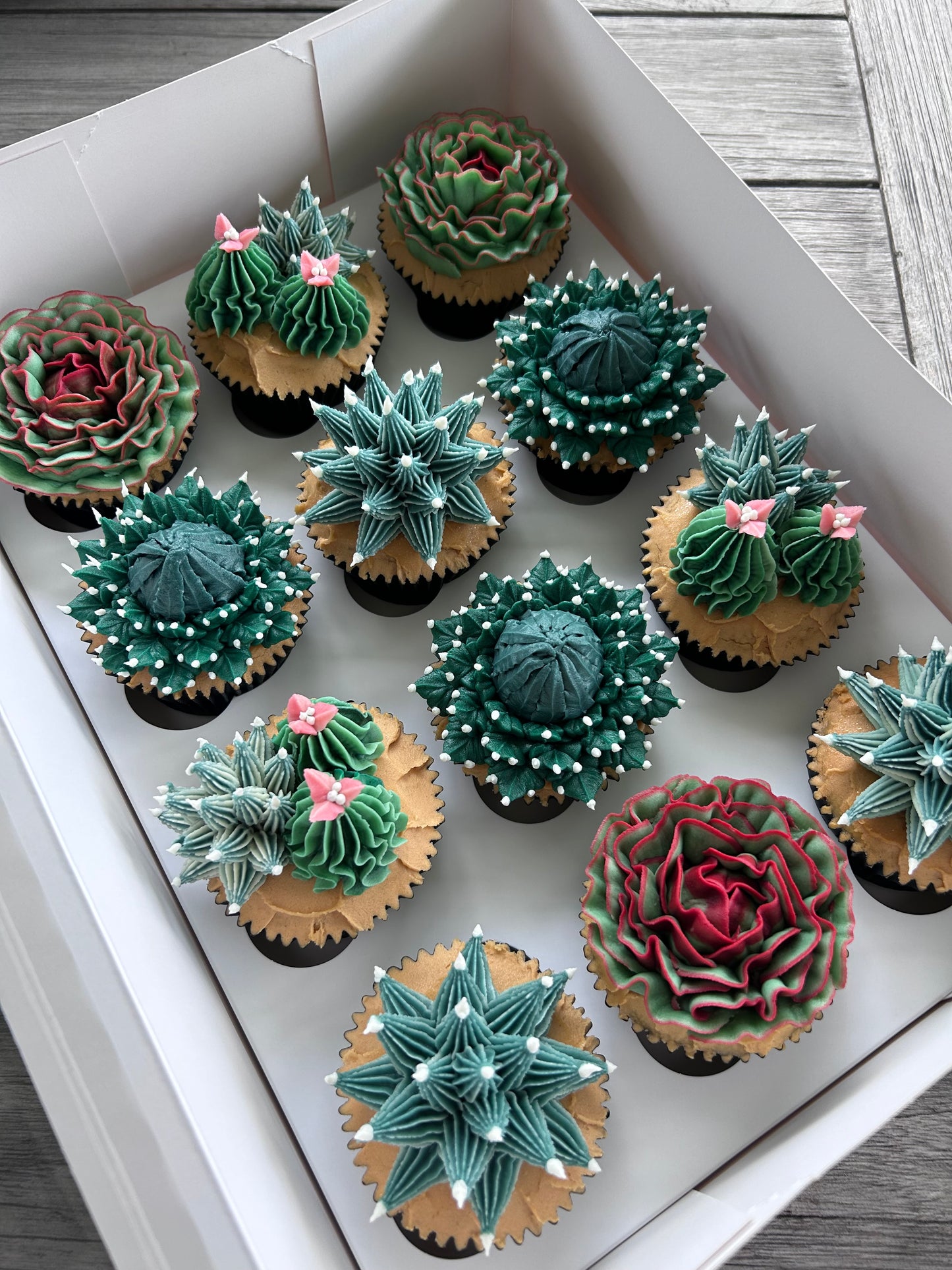 Cactus and succulent buttercream cupcakes