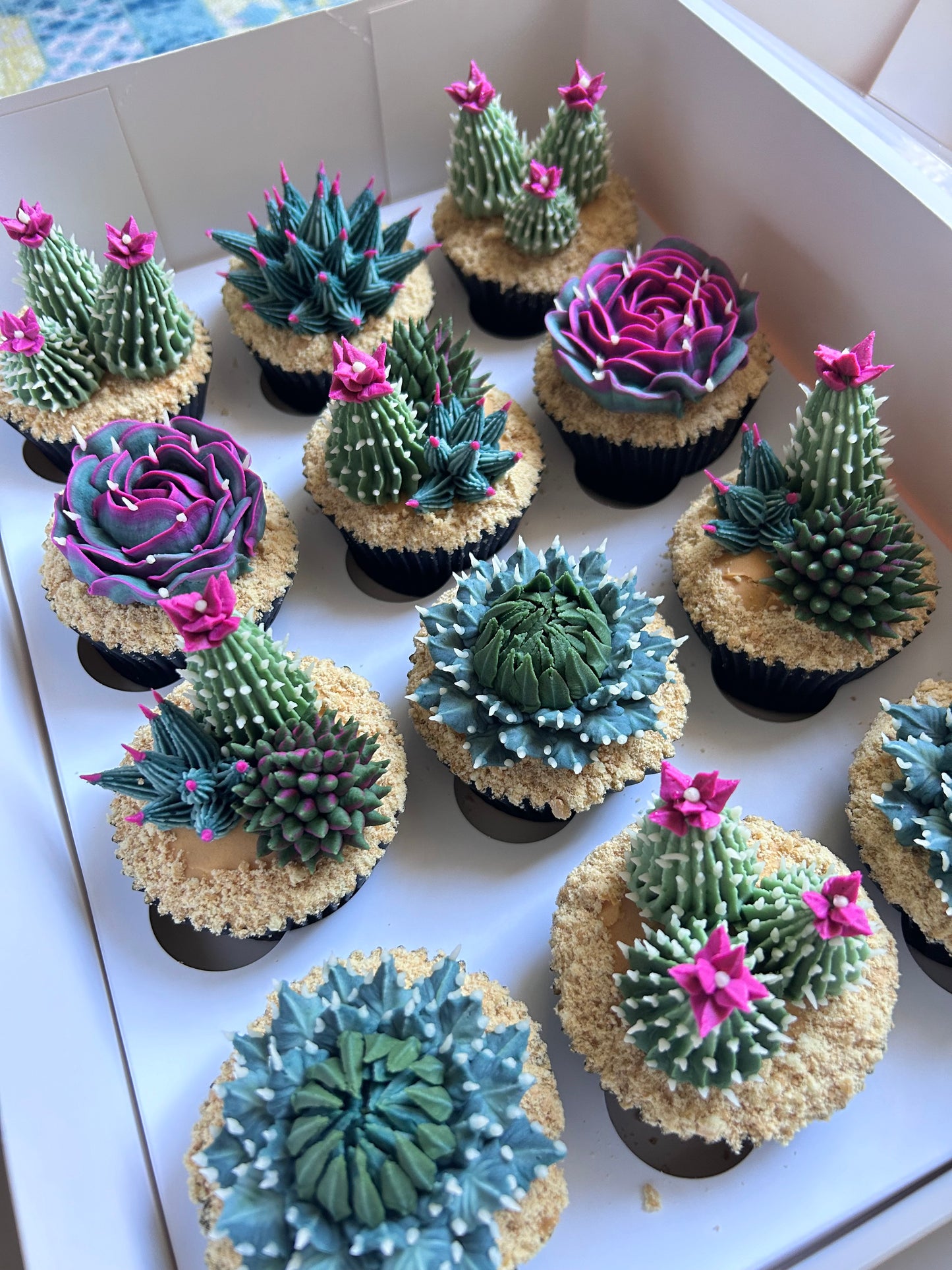 Cactus and succulent cupcakes
