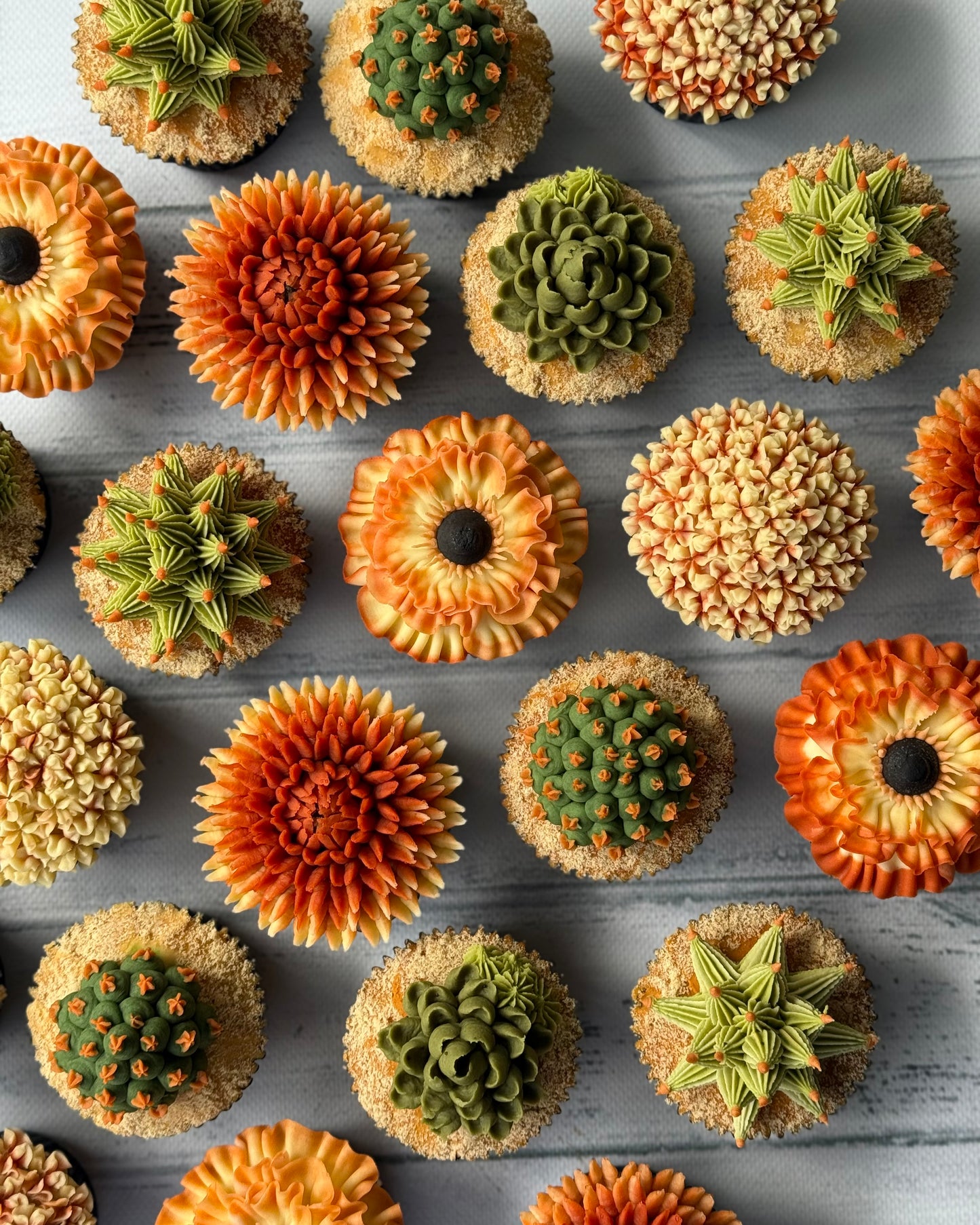 Cactus and succulent cupcakes