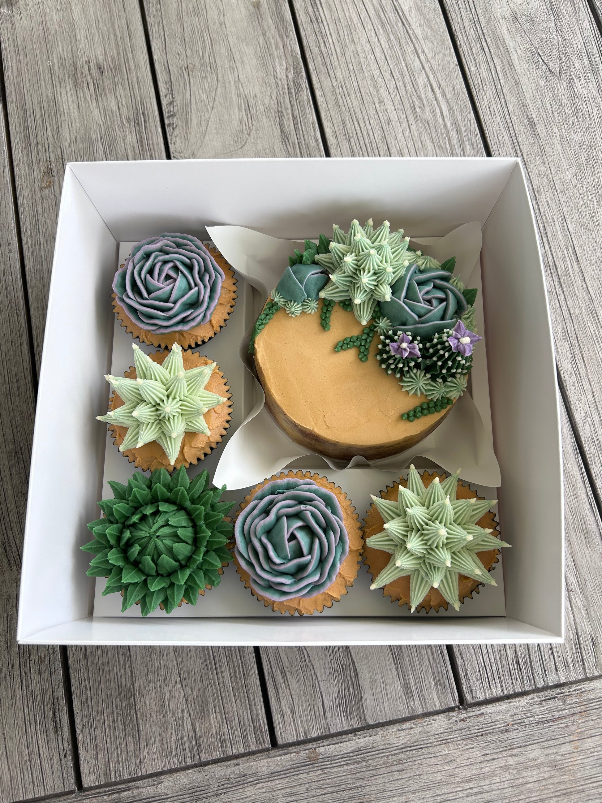 Bento box with a 5' cake and 5 cupcakes 